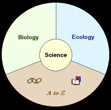 buy handbook of research on