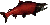 salmon graphic
